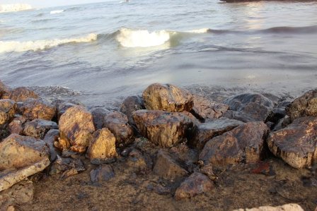 بقع الزبد السوداء بسواحل المكلا -تصوير:صالح باجبع