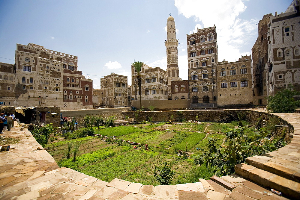 صنعاء القديمة - تصوير: روبرت هاردينج